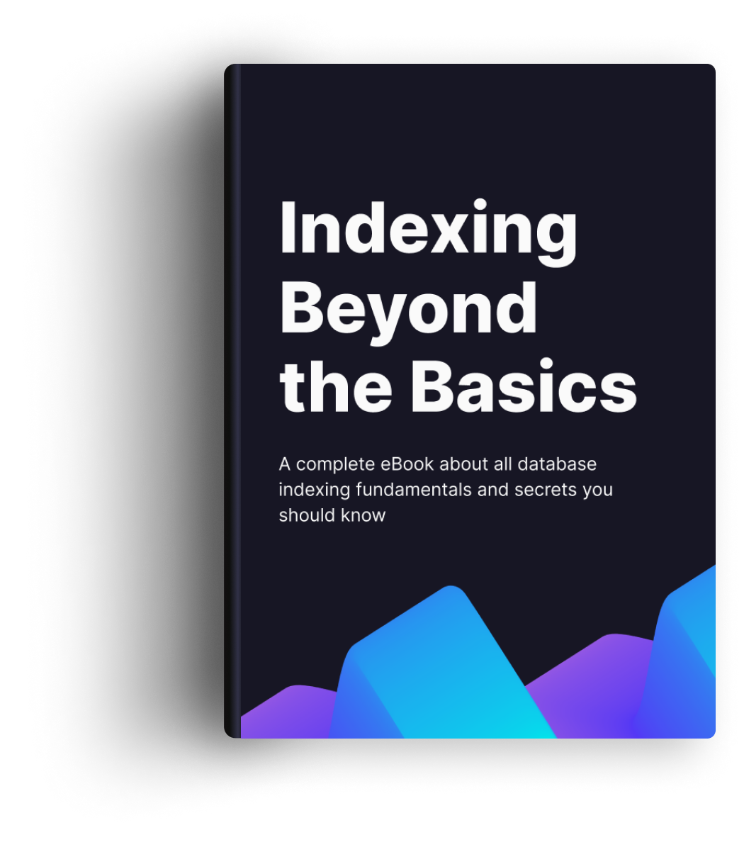 Indexing Beyond The Basics Book